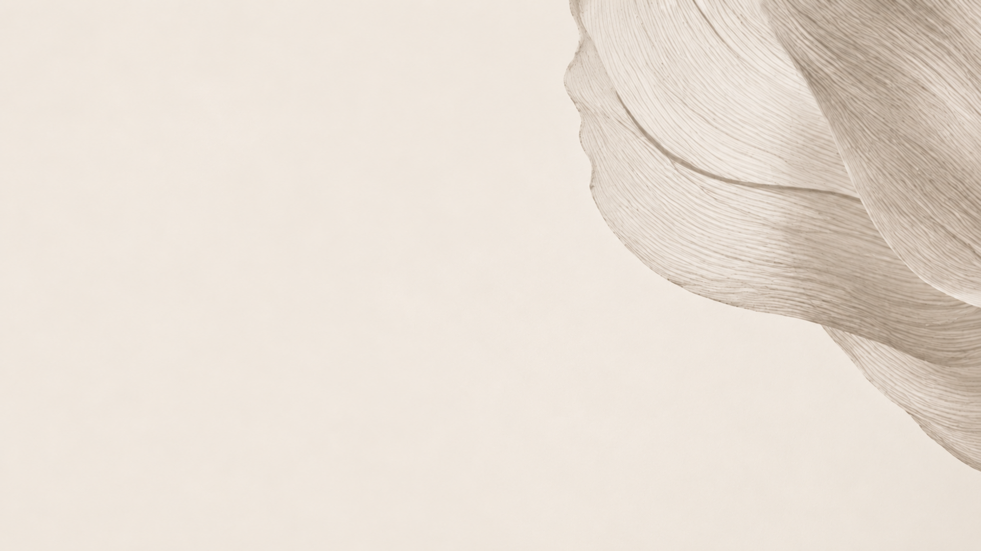 POPTANI sculptural bone-toned texture